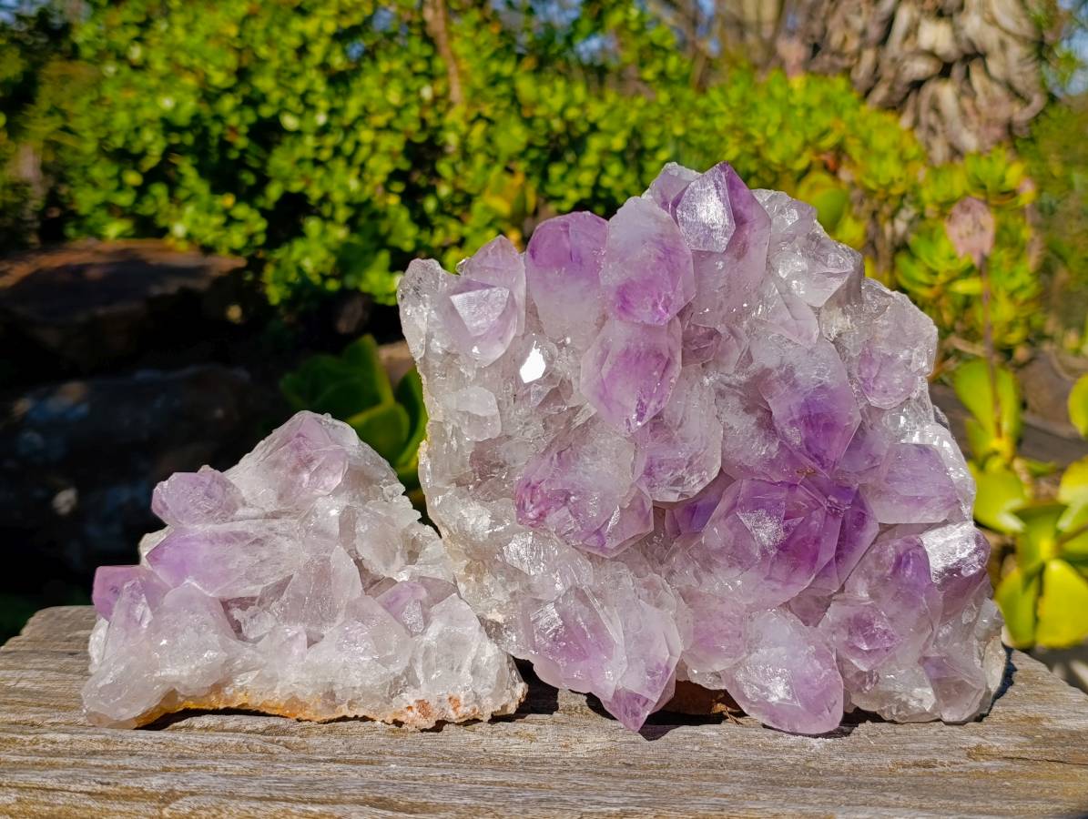 Natural Jacaranda Amethyst Quartz Clusters x 2 From Mumbwa, Zambia - Toprock Gemstones and Minerals 