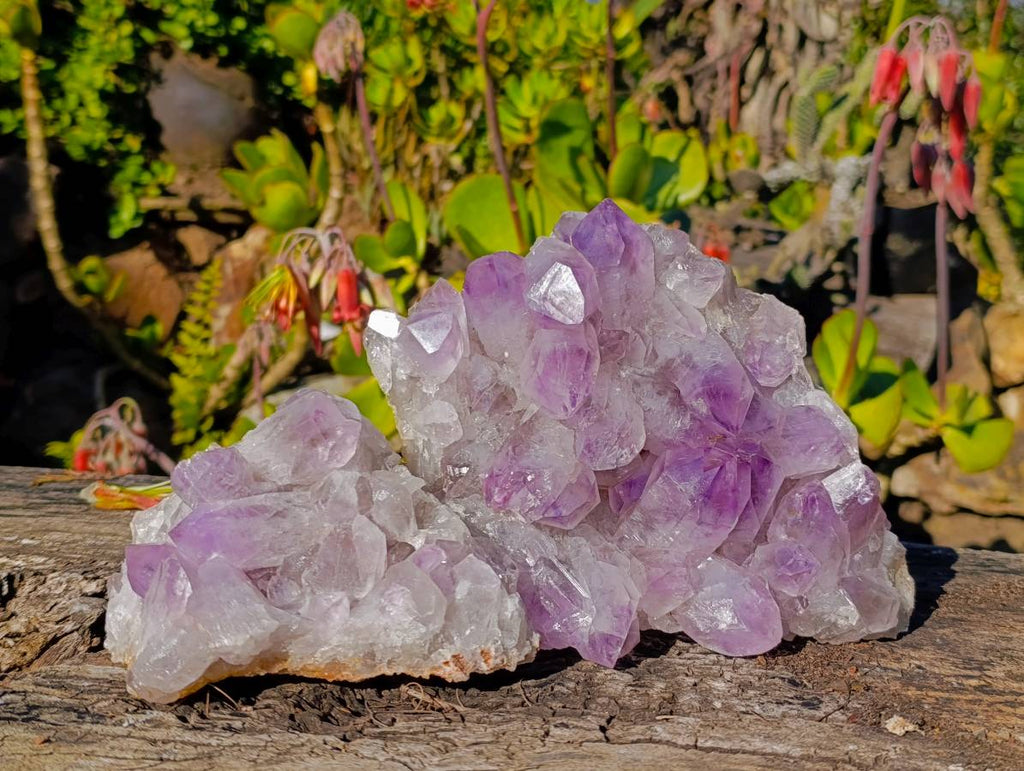 Natural Jacaranda Amethyst Quartz Clusters x 2 From Mumbwa, Zambia - Toprock Gemstones and Minerals 