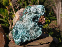 Natural Drusy Chrysocolla and Malachite Stalactite Coated on Dolomite Specimen x 1 From Lupoto Mine, Congo