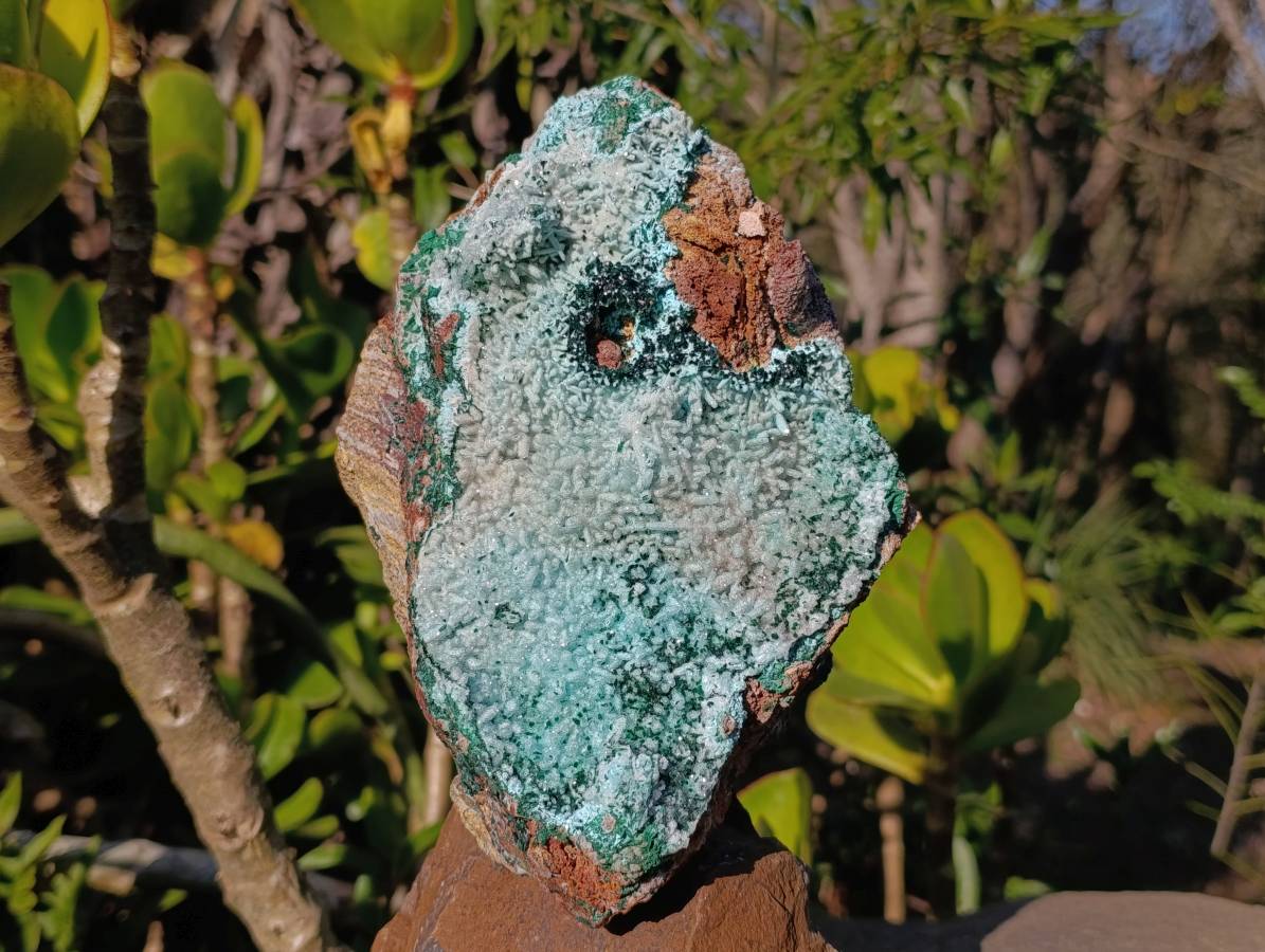 Natural Drusy Chrysocolla and Malachite Stalactite Coated on Dolomite Specimen x 1 From Lupoto Mine, Congo - Toprock Gemstones and Minerals 