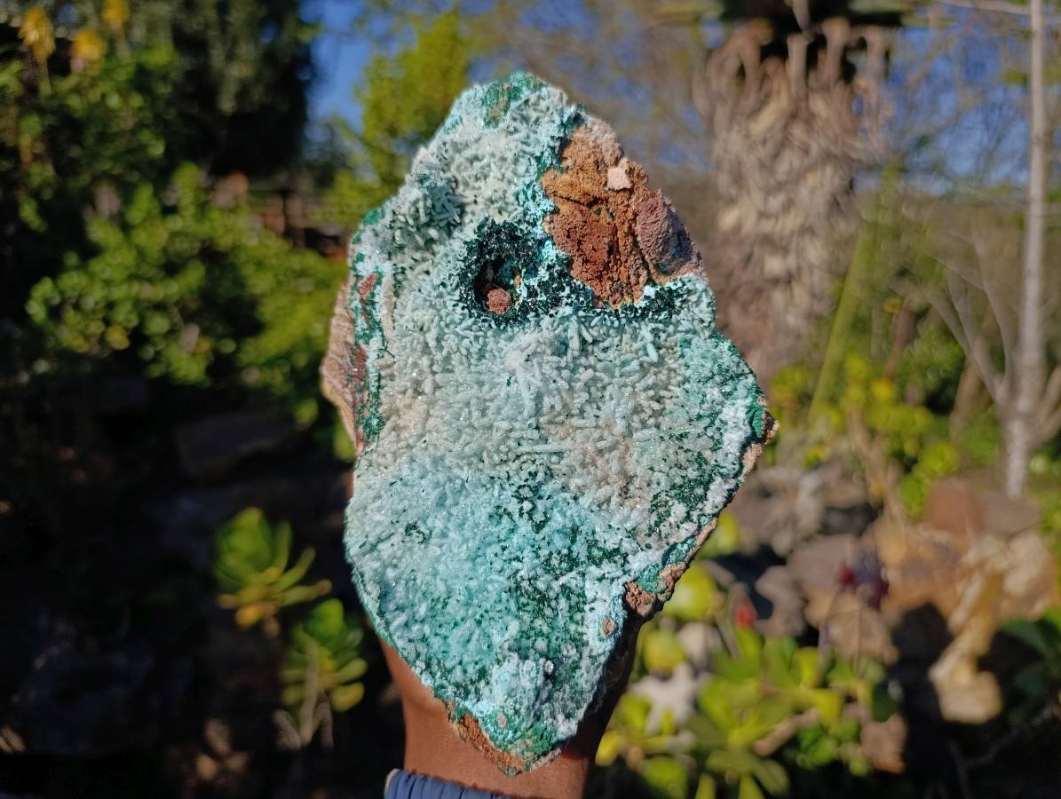 Natural Drusy Chrysocolla and Malachite Stalactite Coated on Dolomite Specimen x 1 From Lupoto Mine, Congo - Toprock Gemstones and Minerals 