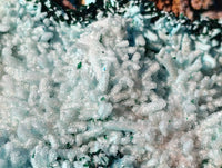 Natural Drusy Chrysocolla and Malachite Stalactite Coated on Dolomite Specimen x 1 From Lupoto Mine, Congo