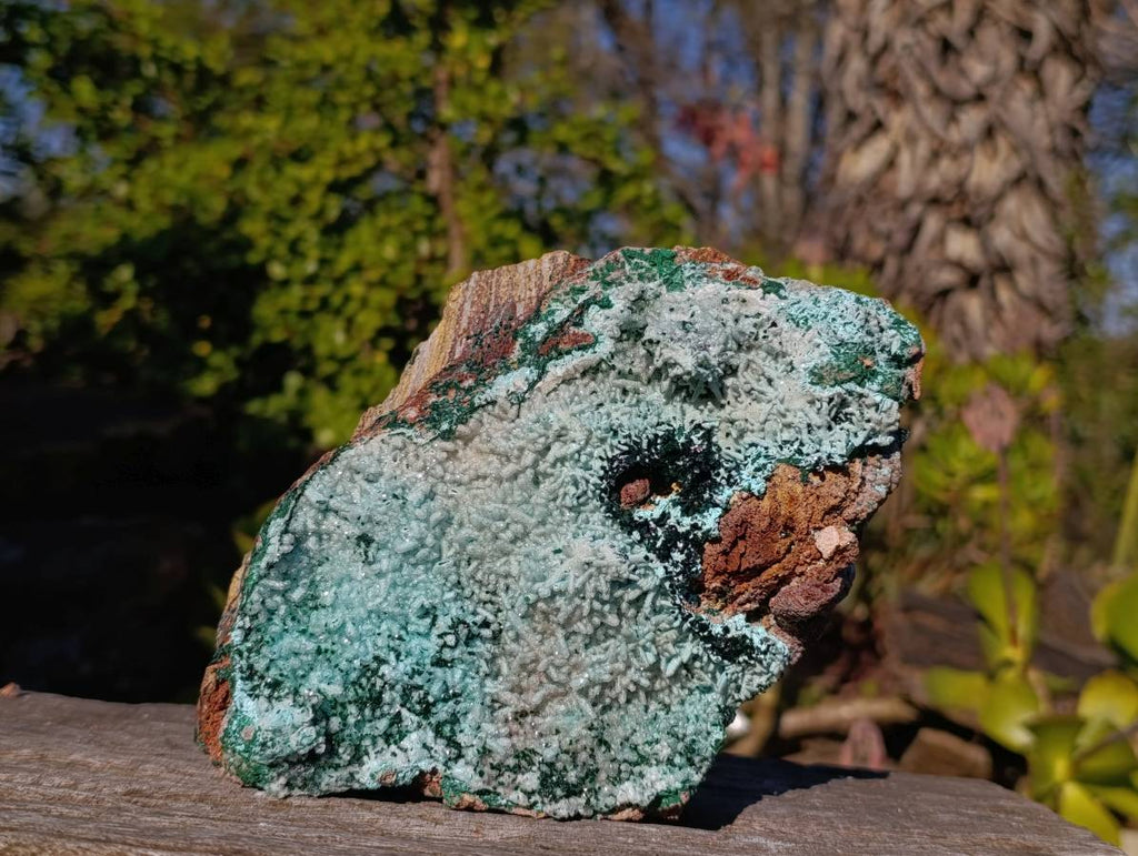 Natural Drusy Chrysocolla and Malachite Stalactite Coated on Dolomite Specimen x 1 From Lupoto Mine, Congo - Toprock Gemstones and Minerals 