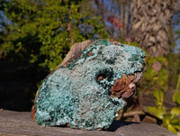 Natural Drusy Chrysocolla and Malachite Stalactite Coated on Dolomite Specimen x 1 From Lupoto Mine, Congo