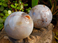Polished Mixed Dendritic and Banded Agate Spheres x 2 From Madagascar - Toprock Gemstones and Minerals 