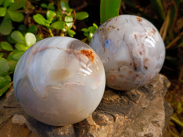 Polished Mixed Dendritic and Banded Agate Spheres x 2 From Madagascar