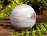 Polished Mixed Dendritic and Banded Agate Spheres x 2 From Madagascar - Toprock Gemstones and Minerals 
