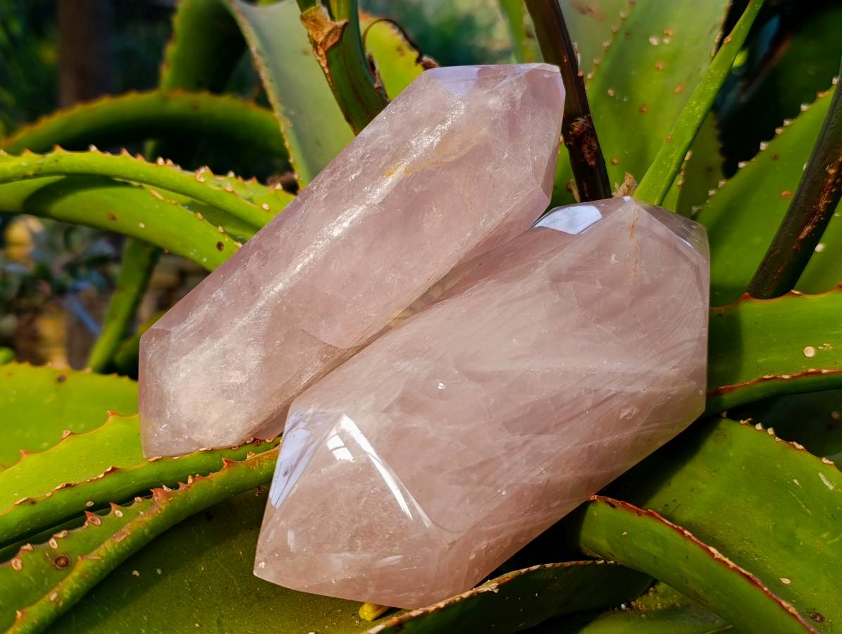 Polished Double Terminated Rose Quartz Points x 2 Madagascar - Toprock Gemstones and Minerals 