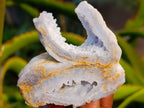 Natural Etched Blue Lace Agate Specimens x 24 From Namibia - Toprock Gemstones and Minerals 
