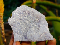 Natural Etched Blue Lace Agate Specimens x 24 From Namibia