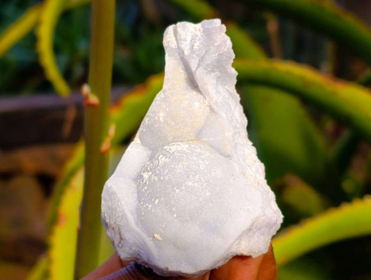 Natural Etched Blue Lace Agate Specimens x 24 From Namibia - Toprock Gemstones and Minerals 