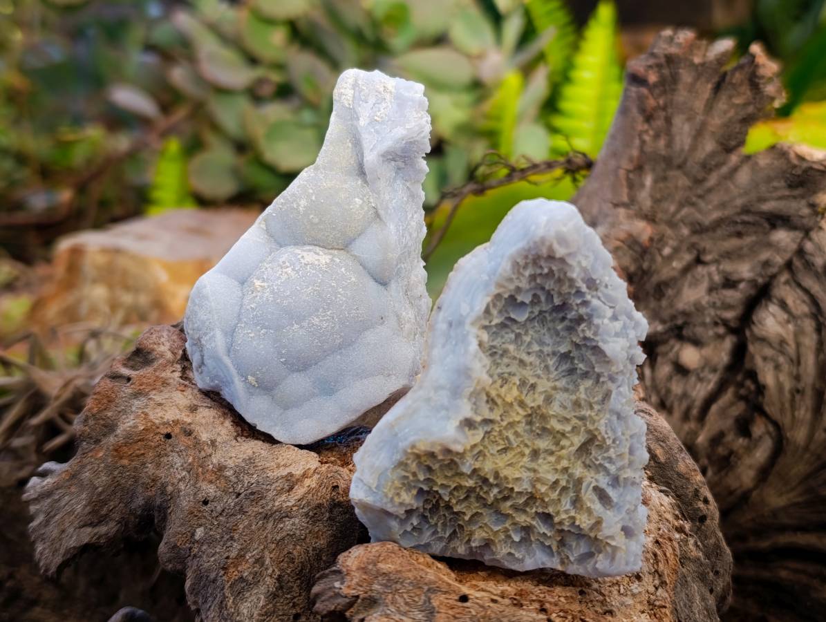 Natural Etched Blue Lace Agate Specimens x 24 From Namibia - Toprock Gemstones and Minerals 