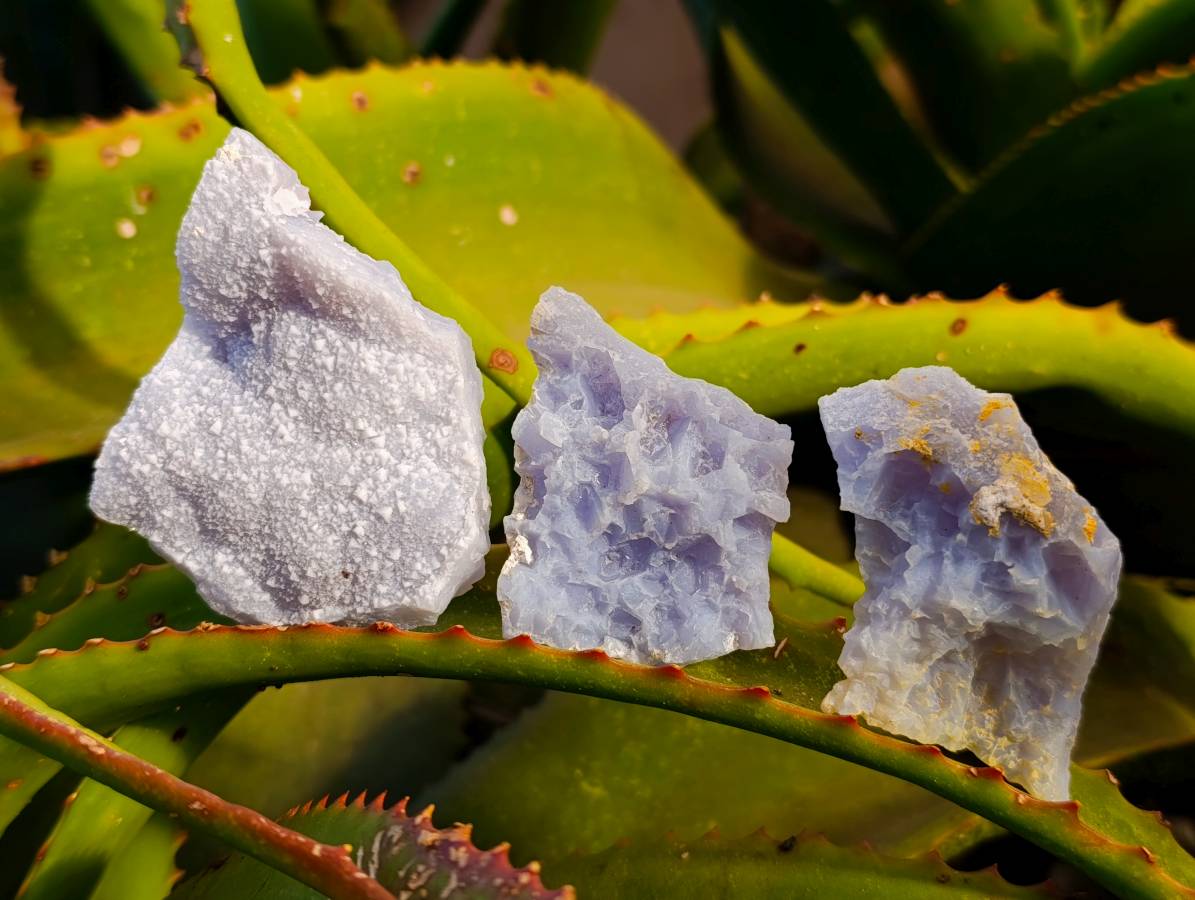 Natural Etched Blue Lace Agate Specimens x 24 From Namibia - Toprock Gemstones and Minerals 