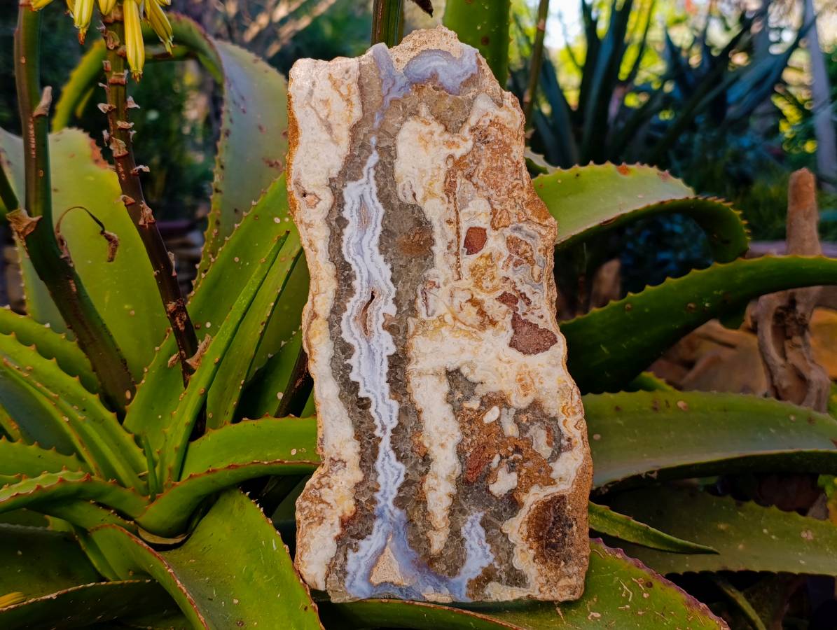 Polished On One Side Extra Large 'Crazy' Blue Lace Agate Slices x 2 From Namibia - Toprock Gemstones and Minerals 