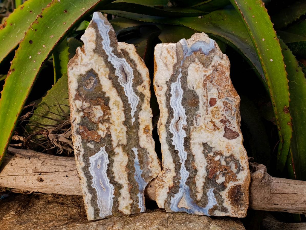 Polished On One Side Extra Large 'Crazy' Blue Lace Agate Slices x 2 From Namibia - Toprock Gemstones and Minerals 