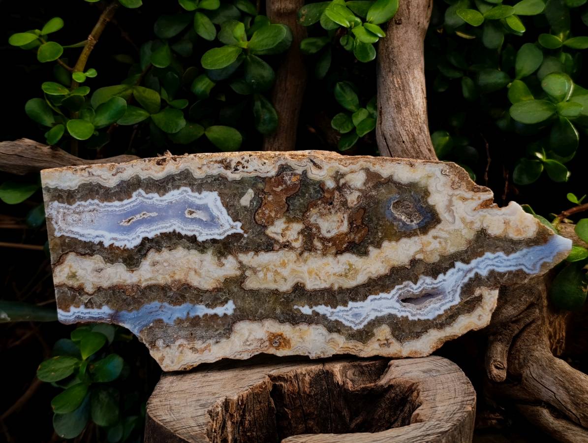 Polished On One Side Extra Large 'Crazy' Blue Lace Agate Slices x 2 From Namibia - Toprock Gemstones and Minerals 