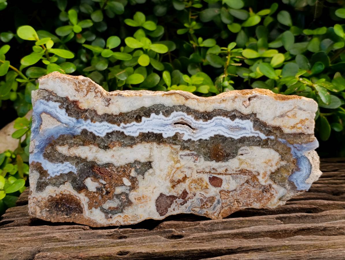 Polished On One Side Extra Large 'Crazy' Blue Lace Agate Slices x 2 From Namibia - Toprock Gemstones and Minerals 
