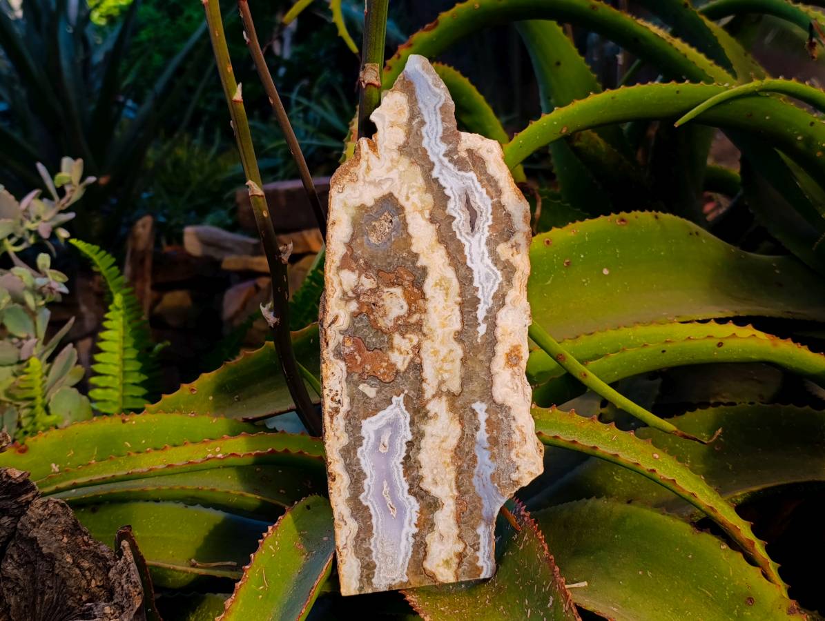Polished On One Side Extra Large 'Crazy' Blue Lace Agate Slices x 2 From Namibia - Toprock Gemstones and Minerals 