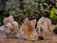 Natural Golden Limonite Coated Spirit Quartz Clusters x 12 From Boekenhouthoek, South Africa