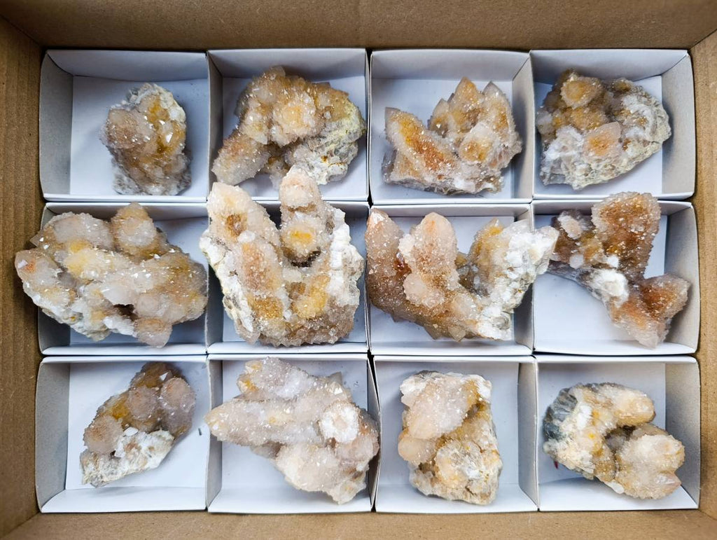 Natural Golden Limonite Coated Spirit Quartz Clusters x 12 From Boekenhouthoek, South Africa - Toprock Gemstones and Minerals 