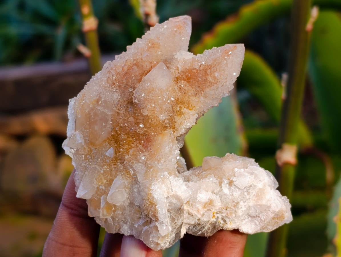 Natural Golden Limonite Coated Spirit Quartz Clusters x 12 From Boekenhouthoek, South Africa - Toprock Gemstones and Minerals 