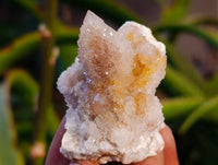 Natural Golden Limonite Coated Spirit Quartz Clusters x 12 From Boekenhouthoek, South Africa