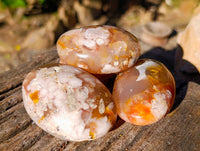 Polished Fossil Flower Agate Palm Stones x 6 From Antsahalova, Madagascar - Toprock Gemstones and Minerals 