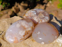 Polished Fossil Flower Agate Palm Stones x 6 From Antsahalova, Madagascar - Toprock Gemstones and Minerals 