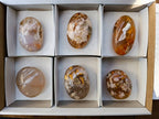 Polished Fossil Flower Agate Palm Stones x 6 From Antsahalova, Madagascar - Toprock Gemstones and Minerals 