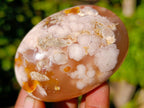 Polished Fossil Flower Agate Palm Stones x 6 From Antsahalova, Madagascar - Toprock Gemstones and Minerals 