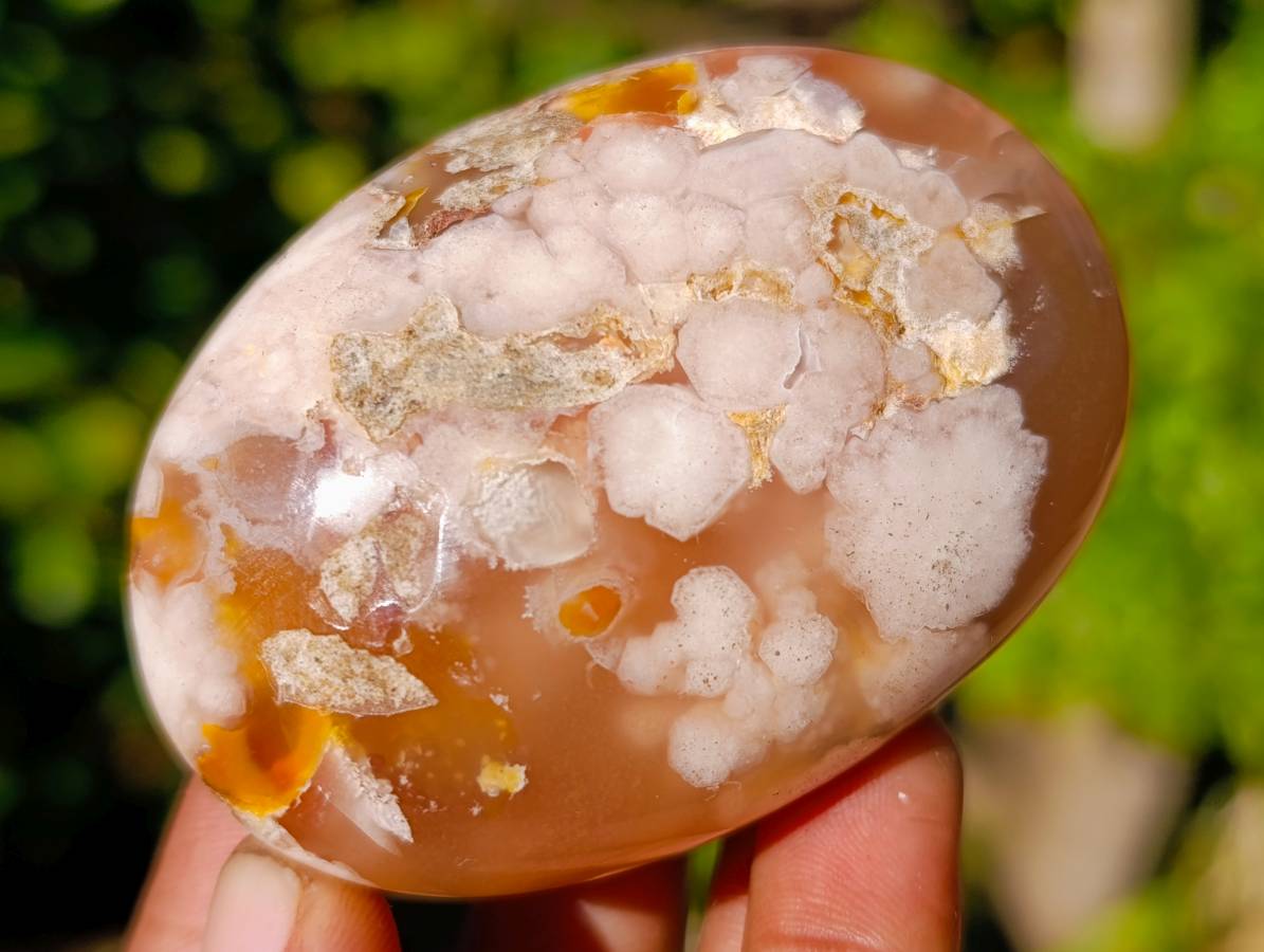 Polished Fossil Flower Agate Palm Stones x 6 From Antsahalova, Madagascar - Toprock Gemstones and Minerals 