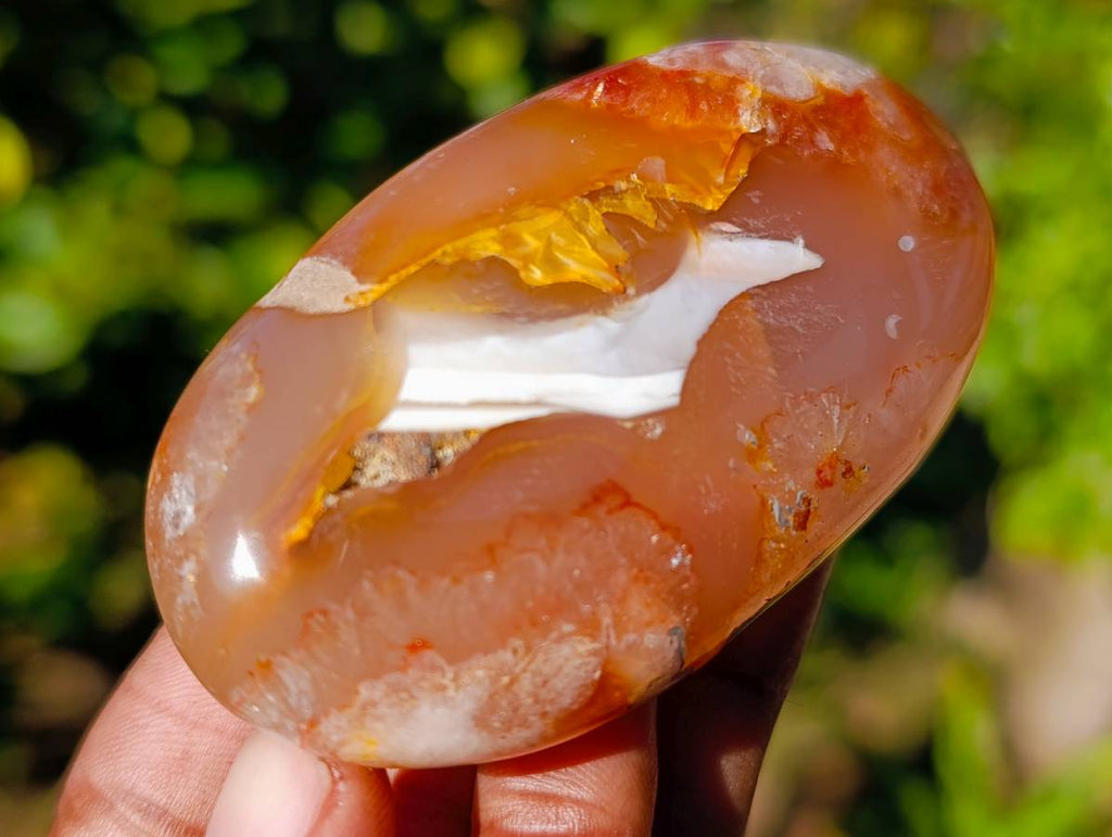 Polished Fossil Flower Agate Palm Stones x 6 From Antsahalova, Madagascar - Toprock Gemstones and Minerals 