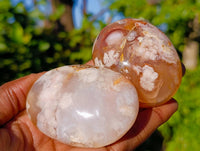 Polished Fossil Flower Agate Palm Stones x 6 From Antsahalova, Madagascar - Toprock Gemstones and Minerals 