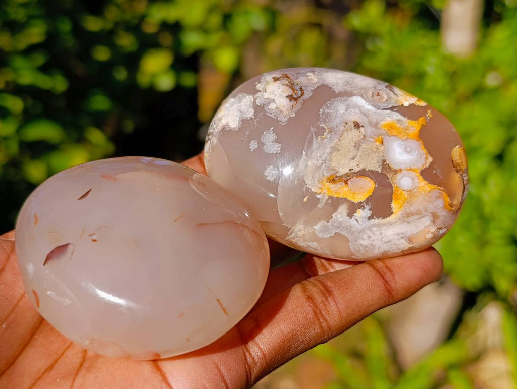 Polished Fossil Flower Agate Palm Stones x 6 From Antsahalova, Madagascar - Toprock Gemstones and Minerals 