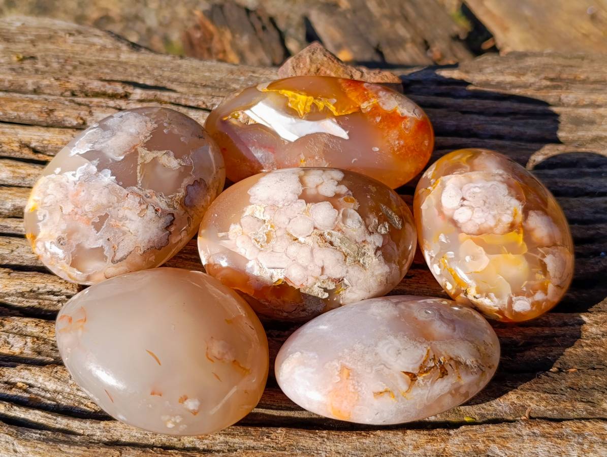 Polished Fossil Flower Agate Palm Stones x 6 From Antsahalova, Madagascar - Toprock Gemstones and Minerals 