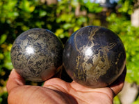 Polished Rare Pharaoh Stone Pyrite in Basalt Spheres x 2 Iron Duke Mine, Zimbabwe - Toprock Gemstones and Minerals 