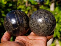Polished Rare Pharaoh Stone Pyrite in Basalt Spheres x 2 Iron Duke Mine, Zimbabwe - Toprock Gemstones and Minerals 