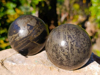 Polished Rare Pharaoh Stone Pyrite in Basalt Spheres x 2 Iron Duke Mine, Zimbabwe - Toprock Gemstones and Minerals 
