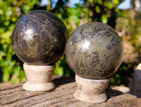 Polished Rare Pharaoh Stone Pyrite in Basalt Spheres x 2 Iron Duke Mine, Zimbabwe - Toprock Gemstones and Minerals 