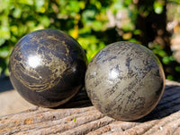 Polished Rare Pharaoh Stone Pyrite in Basalt Spheres x 2 Iron Duke Mine, Zimbabwe - Toprock Gemstones and Minerals 