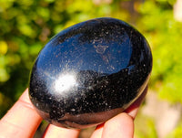 Polished Black Tourmaline Palm Stones x 12 From Madagascar - Toprock Gemstones and Minerals 