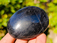 Polished Black Tourmaline Palm Stones x 12 From Madagascar - Toprock Gemstones and Minerals 