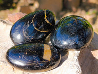 Polished Black Tourmaline Palm Stones x 12 From Madagascar - Toprock Gemstones and Minerals 