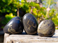 Polished Rare Pharaoh Stone Pyrite in Basalt Palm Stones x 12 Iron Duke Mine, Zimbabwe - Toprock Gemstones and Minerals 