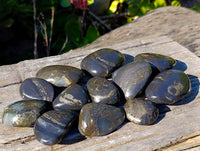 Polished Rare Pharaoh Stone Pyrite in Basalt Palm Stones x 12 Iron Duke Mine, Zimbabwe - Toprock Gemstones and Minerals 