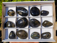 Polished Rare Pharaoh Stone Pyrite in Basalt Palm Stones x 12 Iron Duke Mine, Zimbabwe - Toprock Gemstones and Minerals 