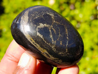 Polished Rare Pharaoh Stone Pyrite in Basalt Palm Stones x 12 Iron Duke Mine, Zimbabwe - Toprock Gemstones and Minerals 