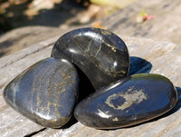Polished Rare Pharaoh Stone Pyrite in Basalt Palm Stones x 12 Iron Duke Mine, Zimbabwe - Toprock Gemstones and Minerals 
