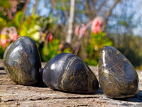 Polished Rare Pharaoh Stone Pyrite in Basalt Palm Stones x 12 Iron Duke Mine, Zimbabwe - Toprock Gemstones and Minerals 