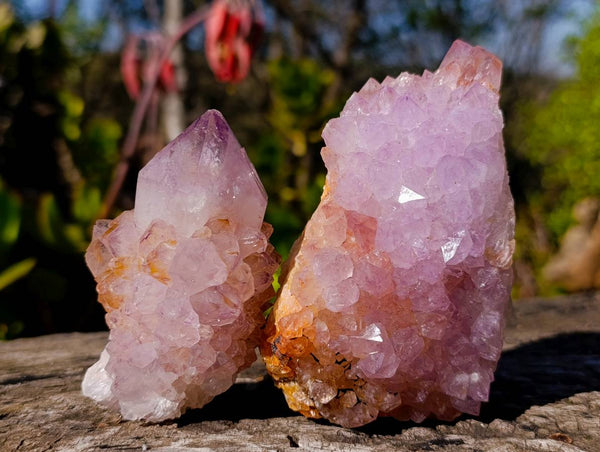 Natural Amethyst Spirit Quartz Clusters x 3 From Boekenhouthoek, South Africa